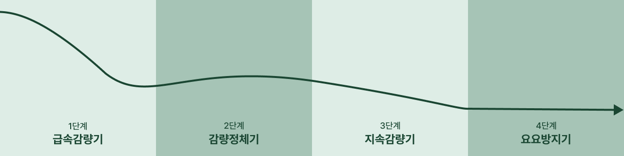 다이어트단계